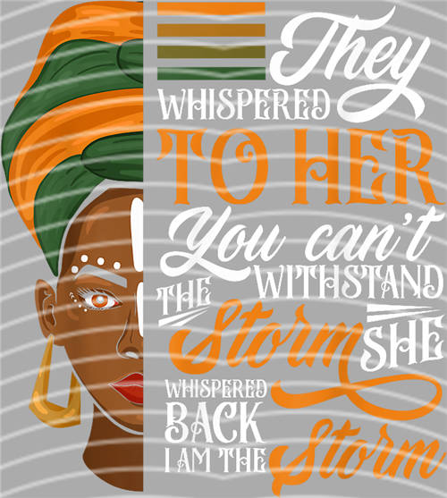 Black History in 1865-LY 299